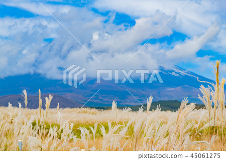 藤野蘇甦的群集 45061275