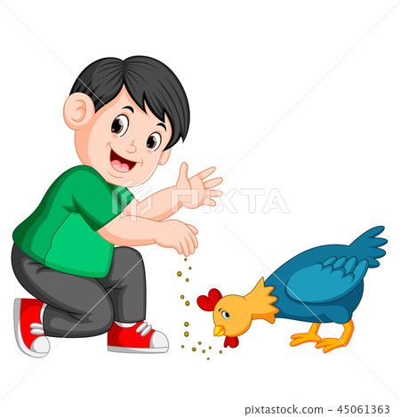 boy give seed to chicken eat boy give seed to chicken eat 45061363