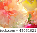 花背景材料 45061621