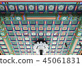 千年天花板 45061831