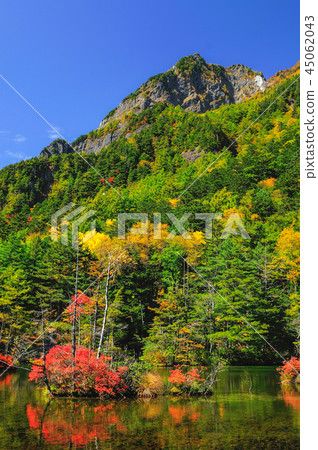 Sky of the sky! Autumn leaves in Kamikochi 45062043