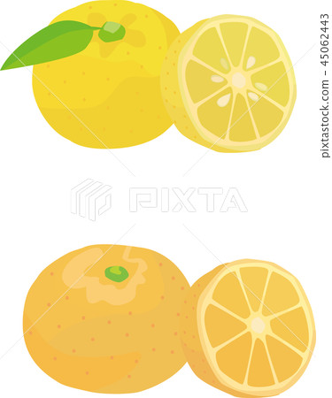 Dumplings & orange slices 45062443