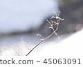 Ice crystal 45063091