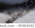 Ice crystal 45063092