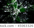 杜 45063326