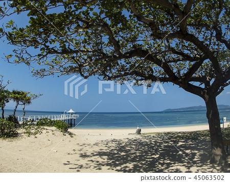海灘和碼頭在度假村前 海灘和碼頭在度假村前 45063502