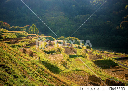Autumn countryside 45067263