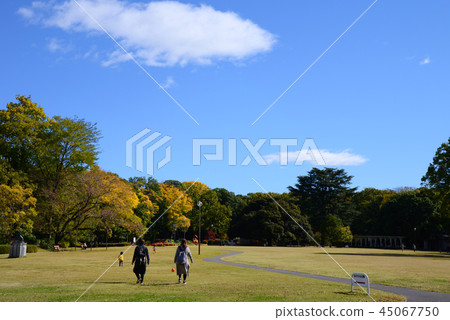 Mother and child in Gunma forest Mother and child in Gunma forest 45067750