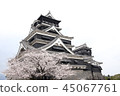Kumamoto castle and cherry blossoms 45067761