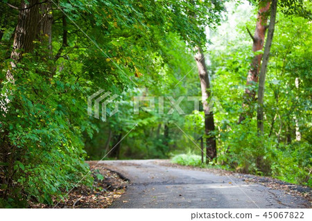 在山的直路 在山的直路 45067822
