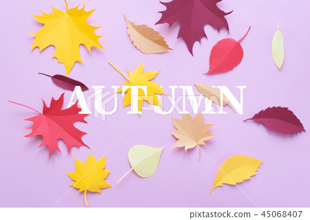 Autumn leaves on pink background. Autumn concept Autumn leaves on pink background. Autumn concept 45068407