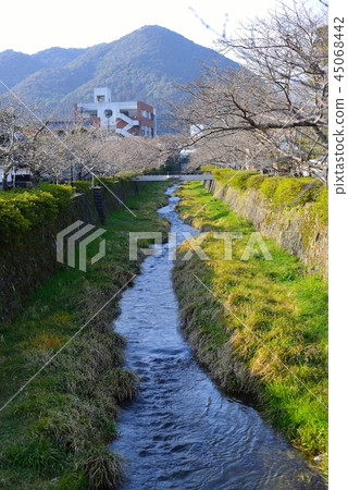 Isozaka River 45068442