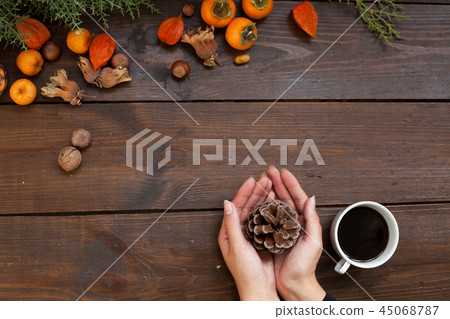 hands winter Christmas new year tree gifts home hands winter Christmas new year tree gifts home 45068787
