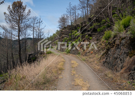 Camino Primitivo, Asturias, Spain Camino Primitivo, Asturias, Spain 45068853
