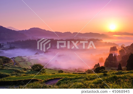 Terraced rice terrace (morning view) 45068945