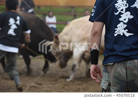 Bullfighting 45070518