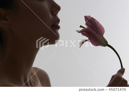 美女 美女 45071470