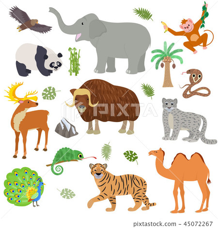 Asian animal vector animalistic wild character tiger camel panda in Asia wildlife illustration set 45072267