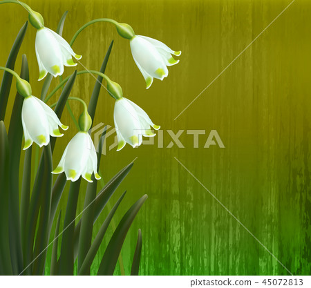 Floral background. Spring flowers. Snowflakes. Floral background. Spring flowers. Snowflakes. 45072813