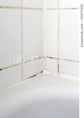 Mould in a white bathroom on the tiles and the sil Mould in a white bathroom on the tiles and the sil 45073382