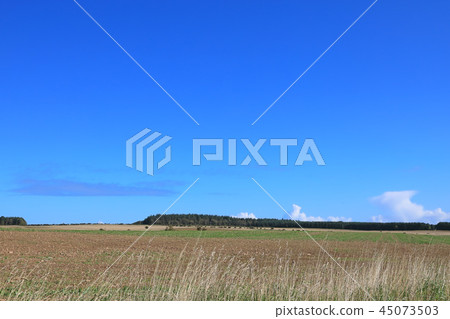 British countryside 45073503