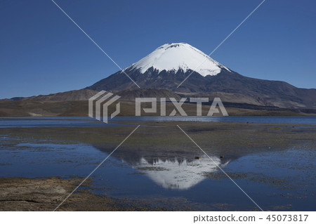 Parinacota Volcano Parinacota Volcano 45073817