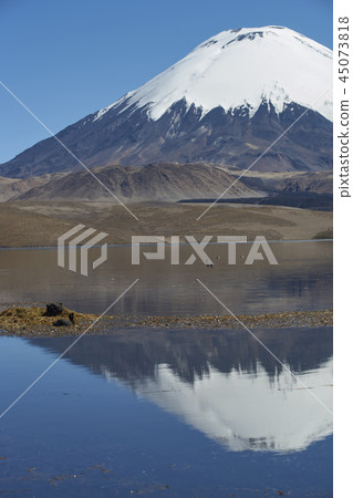 Parinacota Volcano 45073818