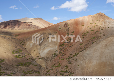 Landscape in Lauca National Park 45073842