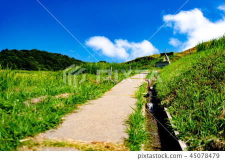 Country road 45078479