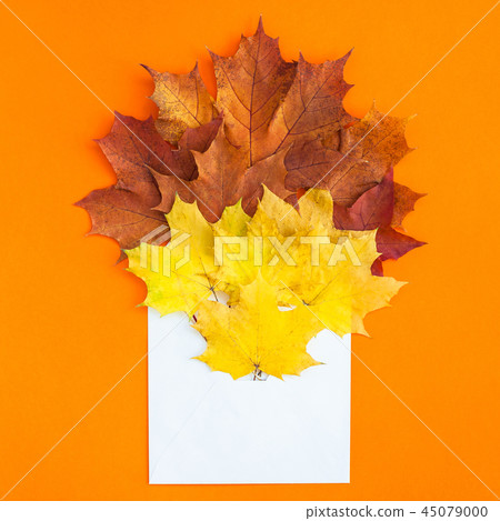 Autumn leaves in paper envelope mockup 45079000