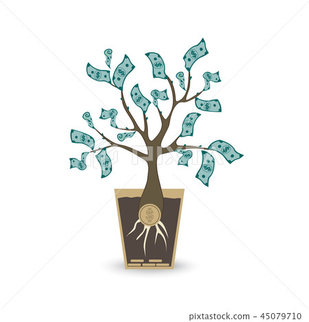 Ypung money tree. Isolated vector object on white background. Ypung money tree. Isolated vector object on white background. 45079710