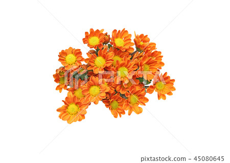 菊花花束 45080645