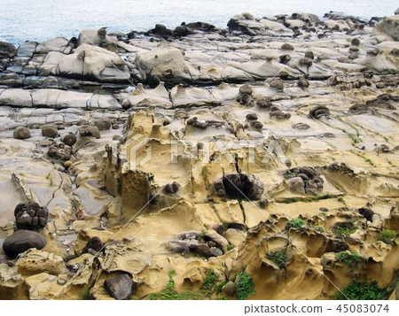 基隆和平島象鼻岩 45083074