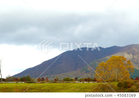 秋天的山麓小丘風光 45083169