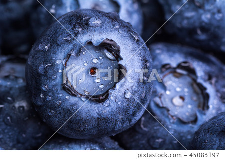Fresh ripe blueberries with drops of dew. 45083197