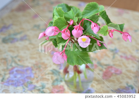 表花 表花 45083952