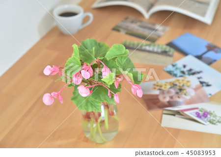 桌子的花 桌子的花 45083953