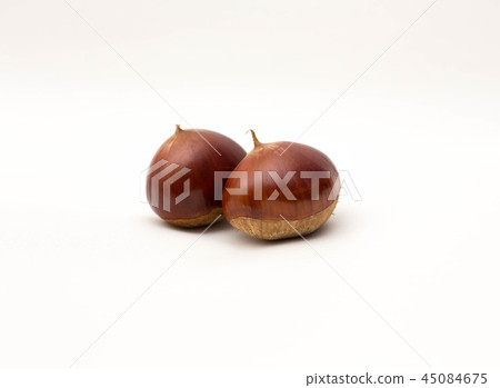 Chestnut Chestnut 45084675