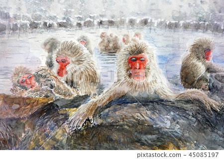 Wild monkey park Hot spring monkey Jigokudani Monkey entering hot spring 45085197