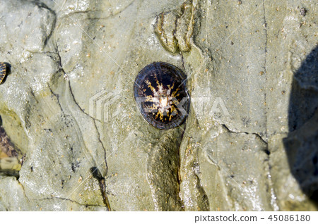 Jeju Island, Jeju Island Jeju Island, Jeju Island 45086180