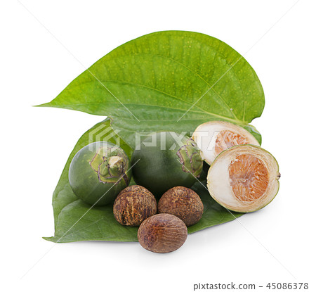 fresh betel nut on betel leaf isolated on white fresh betel nut on betel leaf isolated on white 45086378