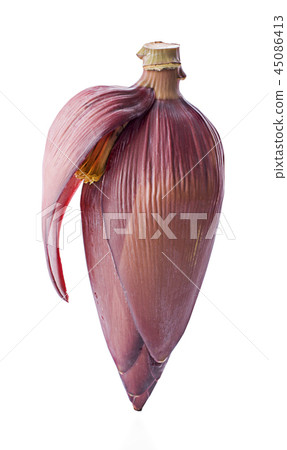 Banana blossom isolated on white background 45086413