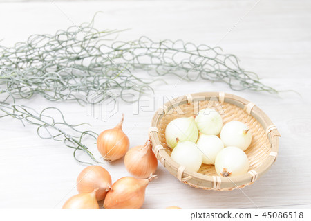 Vegetables Petit Onion Varieties: Pecoros 45086518