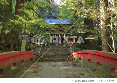 Hanazono Shrine Hanazono Valley Kitaibashiro Hanazono Shrine Hanazono Valley Kitaibashiro 45087176