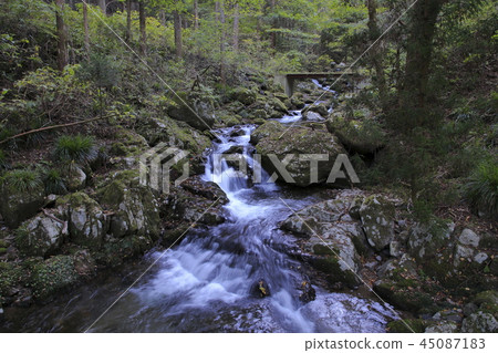 Hanazono Shrine Hanazono Valley Kitaibashiro 45087183