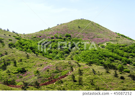 Double chin Double chin 45087252