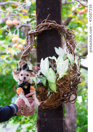 Wanto Halloween Ornament 45087356