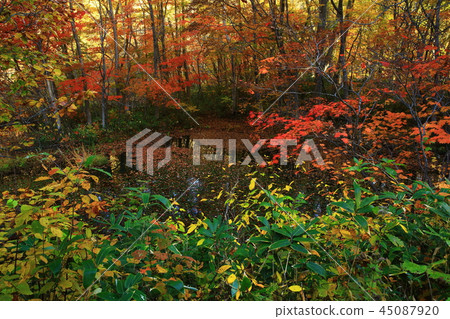 Hachimantai of autumn leaves Hachimantai of autumn leaves 45087920