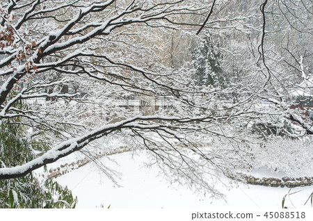Deoksu Palace (Historic Site No. 124), Jung-gu, Seoul 45088518