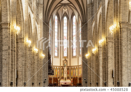 Myeongdong Cathedral 45088528